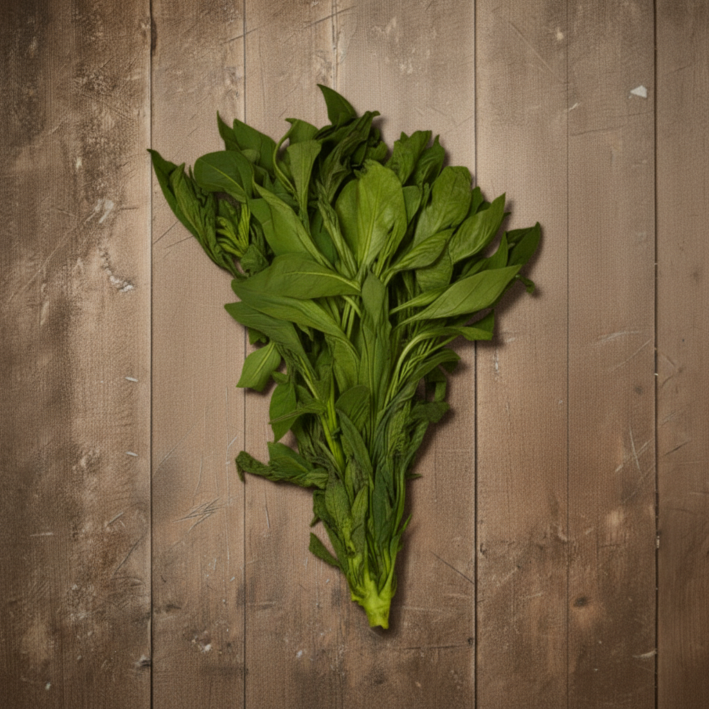 Fresh Bitter Leaf Bunch